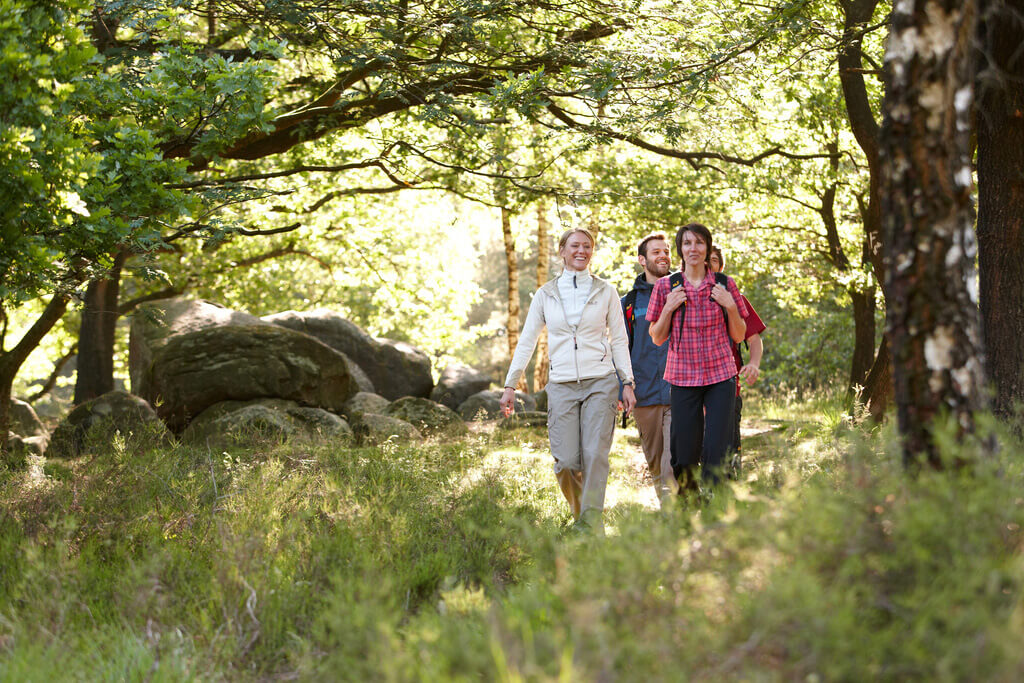 Imagebild beim wandern im Großsteingraeber im Emsland